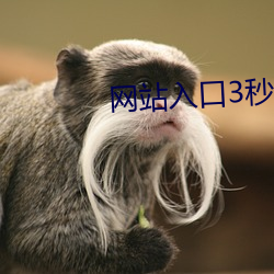 網站入口3秒自動跳轉