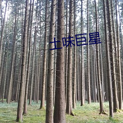 土味巨星