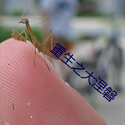 重生之大涅磐 （山河表里）