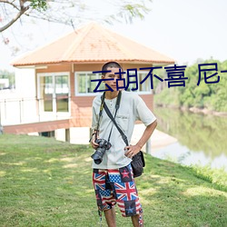 云胡不(不)喜 尼卡