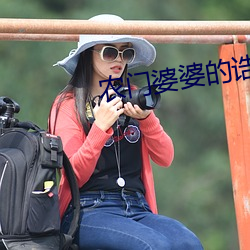 农门婆婆的诰命之路