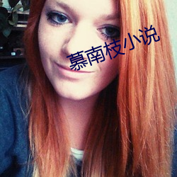 慕南枝小说