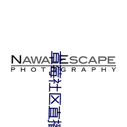 草莓社区直播app