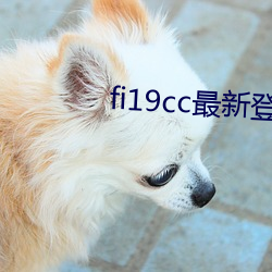 fi19cc最新登錄窗口