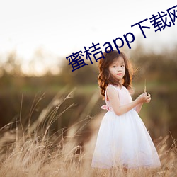 蜜桔app下载网站(zhàn)