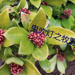 鬼吹(chuī)灯(dēng)之牧野诡事
