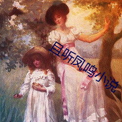 且聽鳳鳴小說
