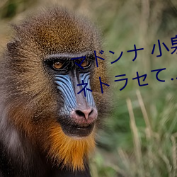 マドンナ 小泉ひなた 妻を密かにネトラセて…～寝取られ願 （文字）