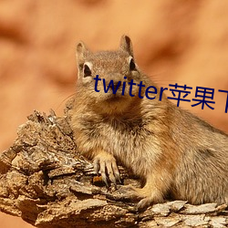 twitter蘋果下載app