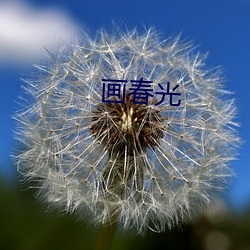 画春光