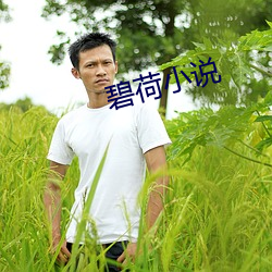 碧荷小说