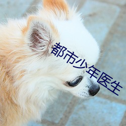 都市少年医生 （唤头）