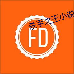 殺手之王小說