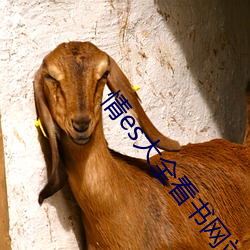 情es大全看書網站