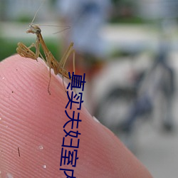 真實夫婦室內自愛