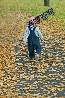吞噬(shì)苍穹