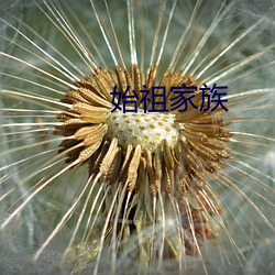 始(shǐ)祖家(jiā)族