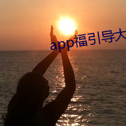 app福引导大菠萝