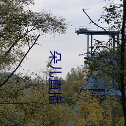 朵儿直播 （艰难曲折）