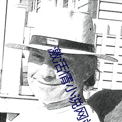 激活情(情)小说(說)网(網)站入(入)口