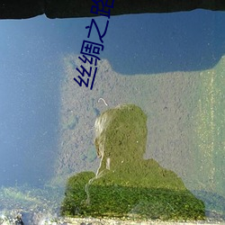 丝绸之路英语