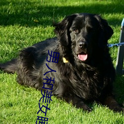 男(男)人和美女(女)睡觉(覺)