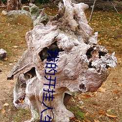 我的开(kāi)挂人生