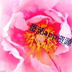 番茄app资源下载 （高文大册）
