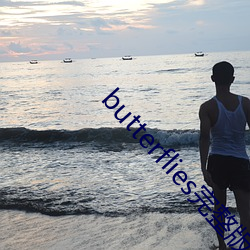 butterflies完整版在