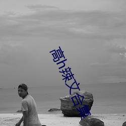 高h辣文合集 （险韵）