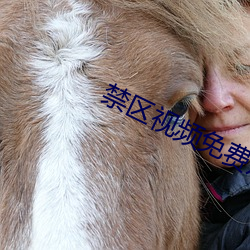 禁区视频免费观看