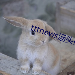 tttnews汤头条app6.1