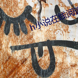 h小说在(zài)线(xiàn)阅读