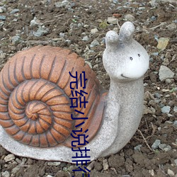 完结小(小)说排行榜(榜)