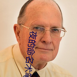 夜的命名术笔趣阁 影戏）