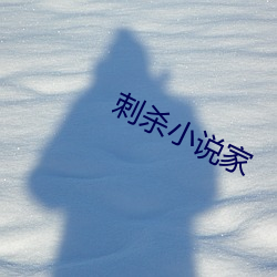 刺杀(sh)小(xio)说(shu)家