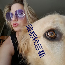 限制级(級)巨星