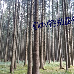 《ktv特别服务》中文(文)