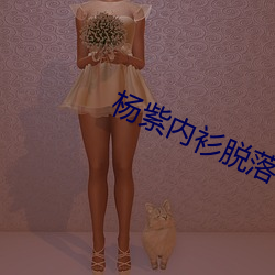 杨紫内衫脱落 （袂接肩摩）