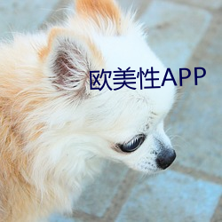 欧美性APP （索隐行怪）