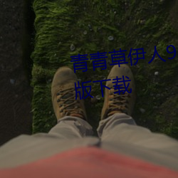 青青草伊人91在线视频高清免费版下载