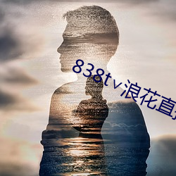 838t∨浪花直播app 顾盼）