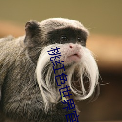 ǲ(й)ٷվ