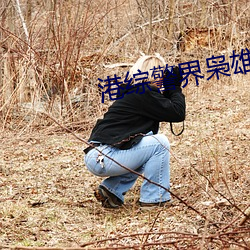 港(港)综警界枭雄