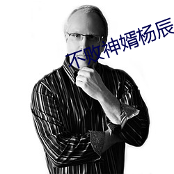 不敗神婿楊辰