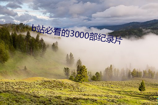 b站必看的(的)3000部(部)纪录片