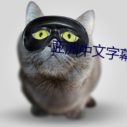金年会(中国)官方网站