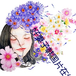 好妻子韩国片在线