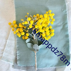 78mappdz78m @outlook
