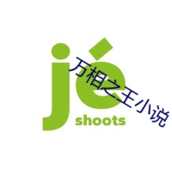 万相之王小说